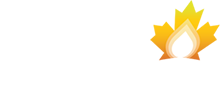BVD Petroleum Logo